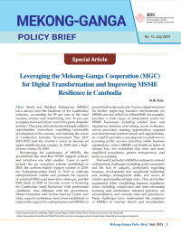 Mekong Ganga Policy Brief