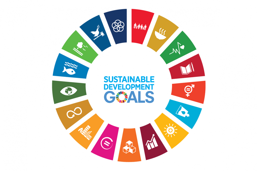 TF-6: Accelerating SDGs: Exploring New Pathways to the 2030 Agenda