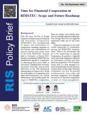 Policy Brief No. 162